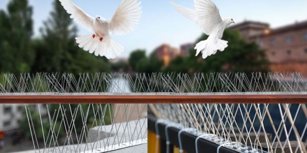 Anti Bird Nets